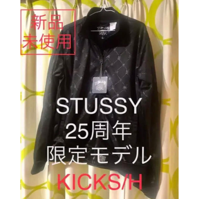 マウンテンパーカー 入試困難‼️STUSSY 25周年限定モデル