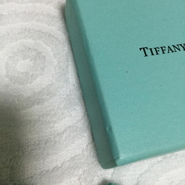Tiffany & Co.(ティファニー)のTIFFANY &Co. ケース インテリア/住まい/日用品のインテリア小物(小物入れ)の商品写真