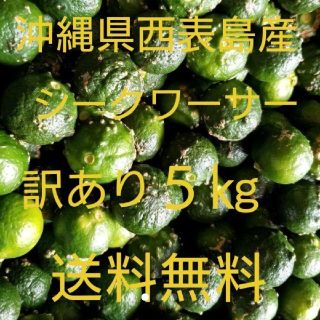 沖縄県西表島産シークワーサー訳あり５㎏(フルーツ)