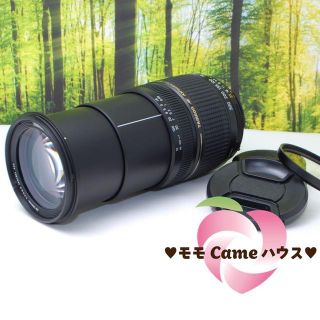 タムロン(TAMRON)のニコン用超望遠タムロンレンズ★AF28－300㎜（A061）★883(レンズ(ズーム))