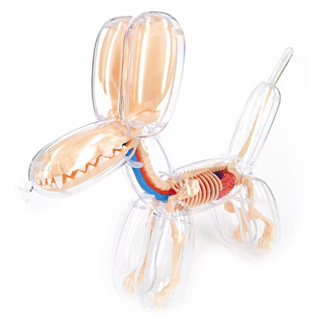 Balloon Dog Anatomy by Jason Freeny