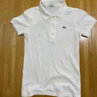 ラコステ(LACOSTE)のLacosteポロシャツ(ポロシャツ)