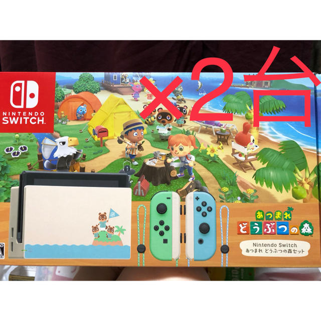 Nintendo Switch - 【２台】どうぶつの森セット