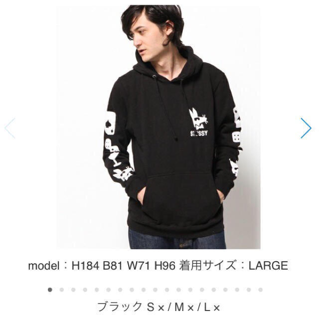 STUSSY(ステューシー)のstussyレア新品未使用パーカー レディースのトップス(パーカー)の商品写真