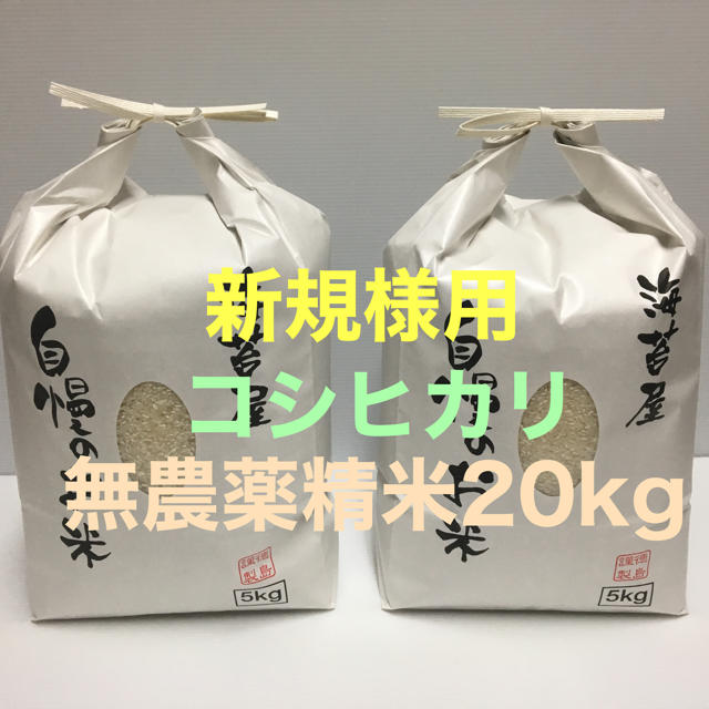 即購入???? 無農薬 コシヒカリ 精米20kg(5kg×4)令和元年 徳島県産食品/飲料/酒