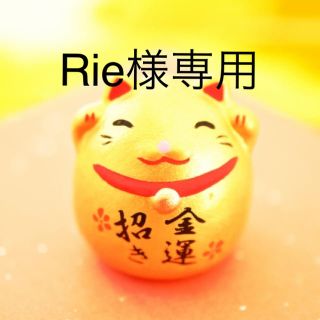 ニナファーム  Rie様専用(その他)