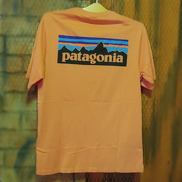 Patagonia 完売カラー P6ロゴ Tee メンズXS