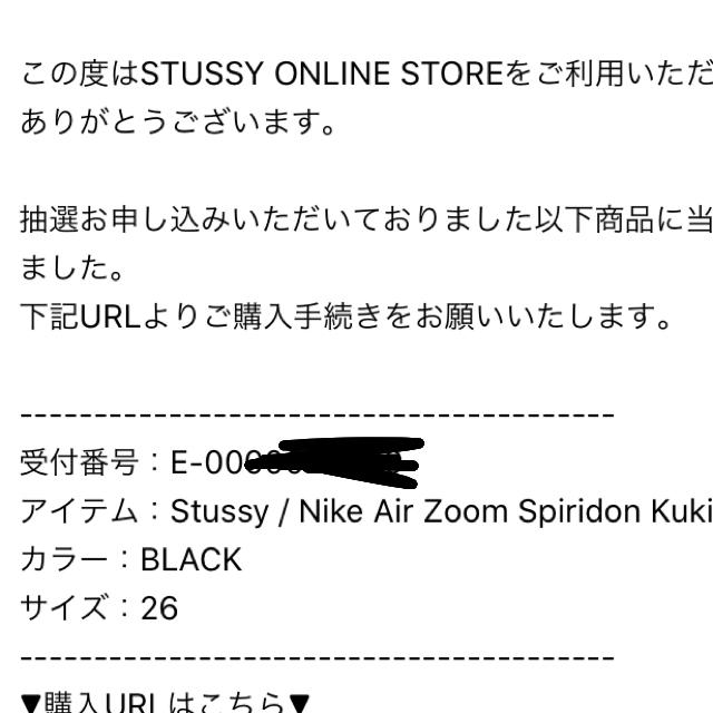 stussy nike air zoom kukini