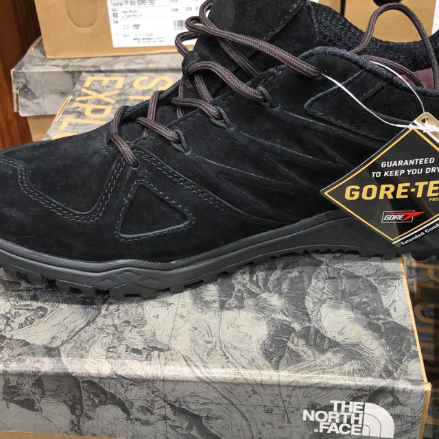 THE NORTH FACE(ザノースフェイス)のTHE NORTH FACE GORE-TEX シューズ　27.0 新品 メンズの靴/シューズ(スニーカー)の商品写真