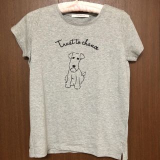 サマンサモスモス(SM2)のLugnoncure イヌ Tシャツ Mサイズ  グレー(Tシャツ(半袖/袖なし))