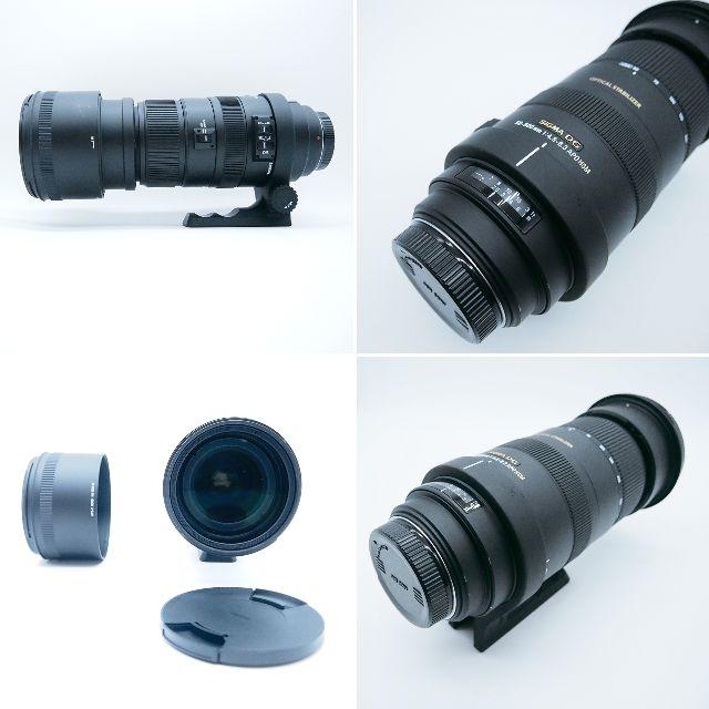 【美品】SIGMA 超望遠ズーム APO 50-500mm F4.5-6.3