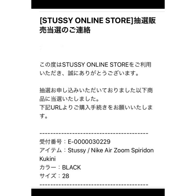 【激レア】Stussy / Nike スニーカー　28cm