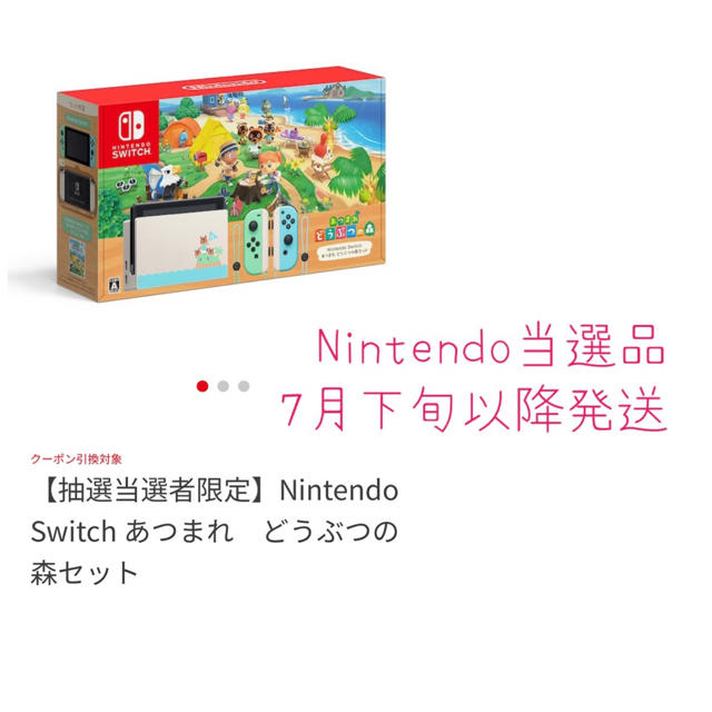 Nintendo Switch - どうぶつの森セット