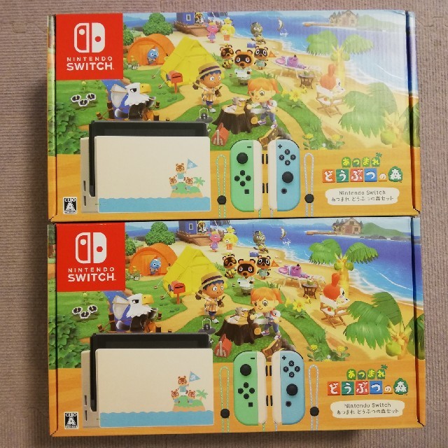 任天堂ニンテンドー　スイッチあつまれどうぶつの森同梱版