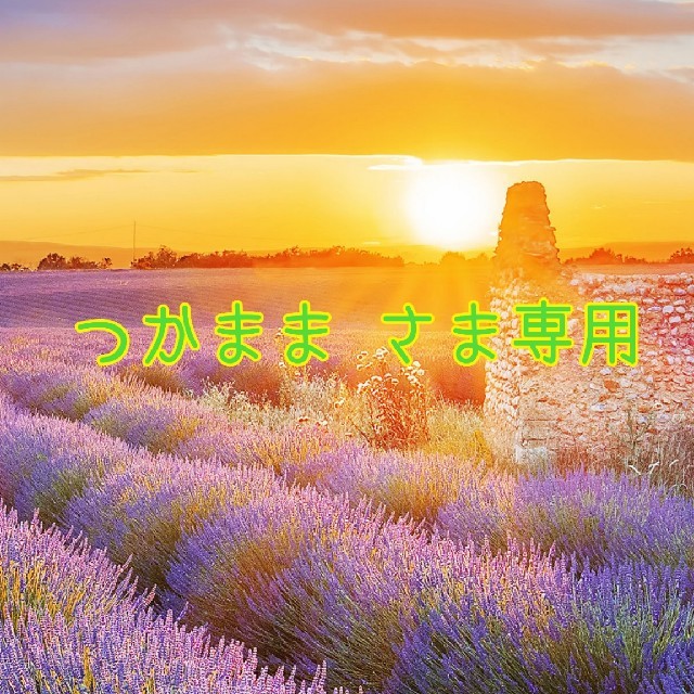 ㉔つかまま リピーターさま通常お出汁セット(3袋)