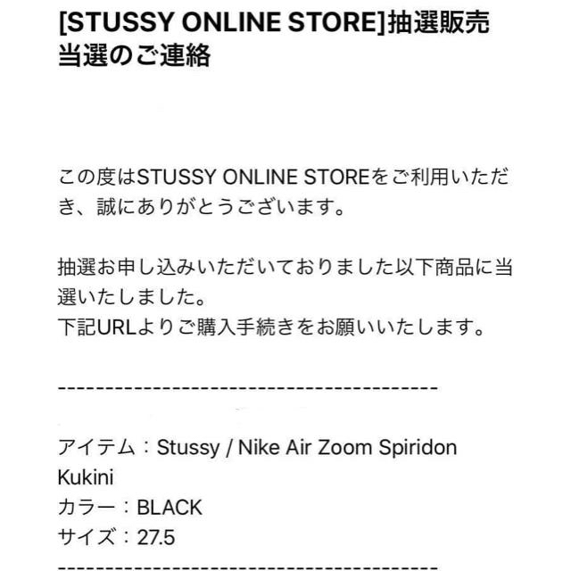 STUSSY(ステューシー)の★送料込み★NIKE★AIR ZOOM SPIRIDON KUKINI★ メンズの靴/シューズ(スニーカー)の商品写真