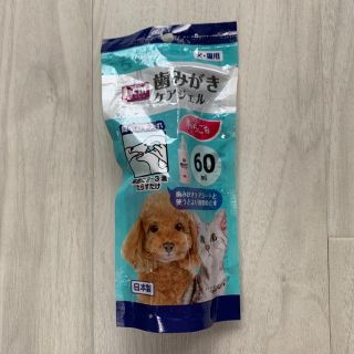 歯磨きケアジェル いちご味 60ml 新品未使用(犬)