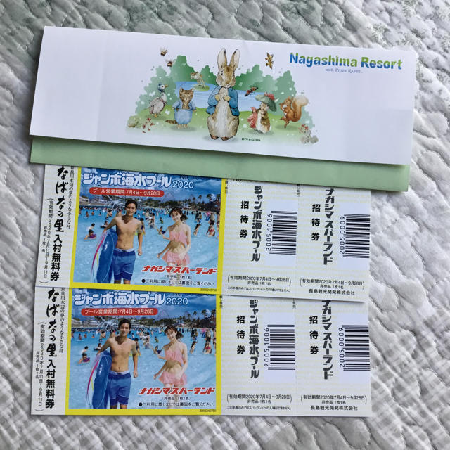 ナガシマスパーランド・ジャンボ海水プール入場券・なばなの里入村券セット  2枚 チケットの施設利用券(プール)の商品写真