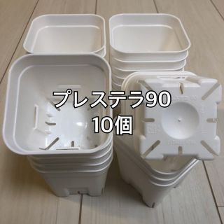 プレステラ90 白 10個(その他)