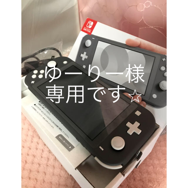 ニンテンドースイッチライトグレー 短期使用中古美品おまけ付き