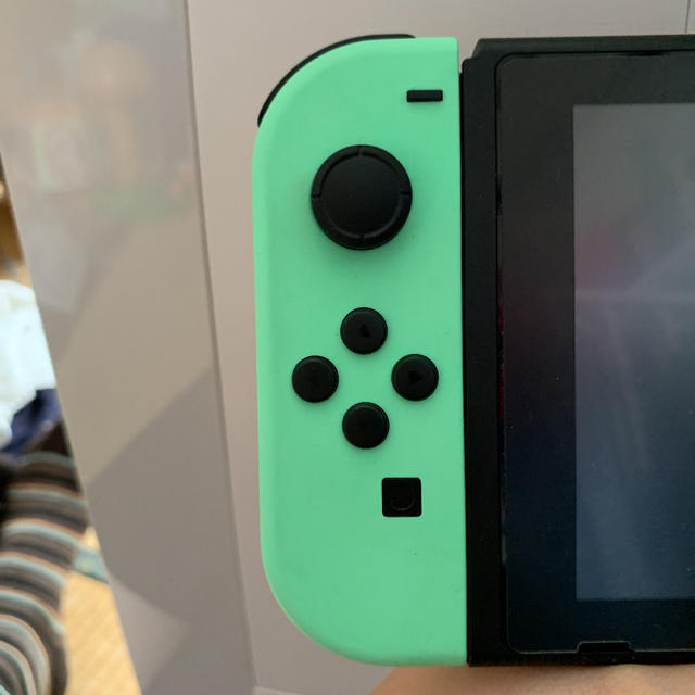 Nintendo Switch あつまれどうぶつの森セット