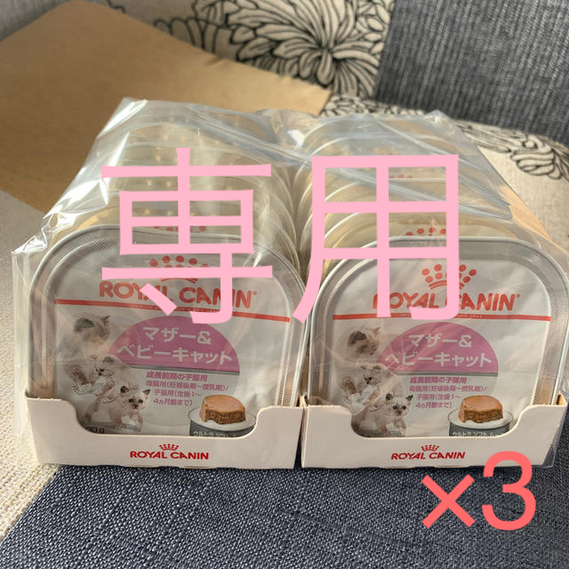 専用　ロイヤルカナン　マザー&ベビーキャット　缶詰12個入り×3（36個