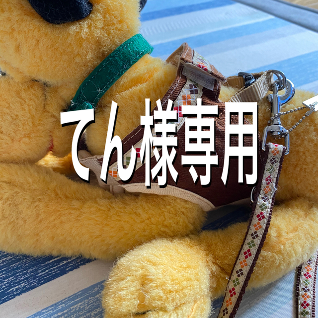 小型犬　ハーネス＆リード その他のペット用品(犬)の商品写真