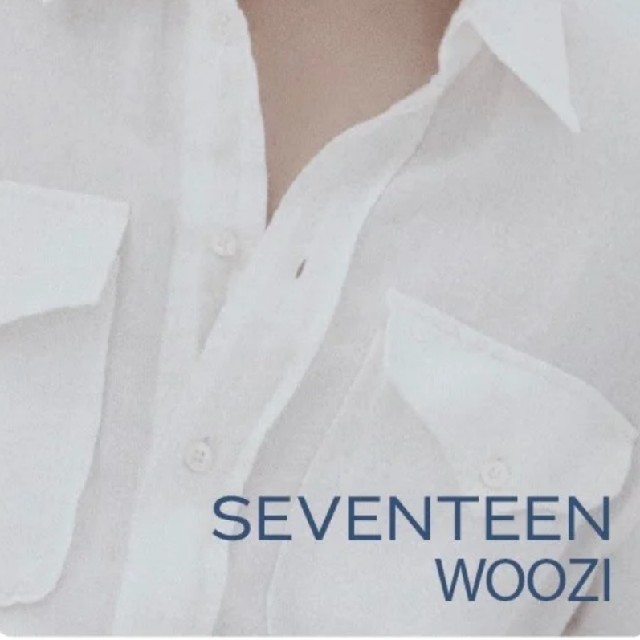 SEVENTEEN(セブンティーン)のSEVENTEEN WOOZI アクリルスタンド エンタメ/ホビーのCD(K-POP/アジア)の商品写真