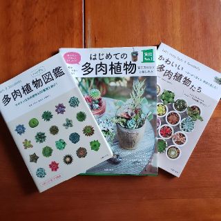 多肉植物本 3冊セットの通販 By みなみはこちゃん S Shop ラクマ