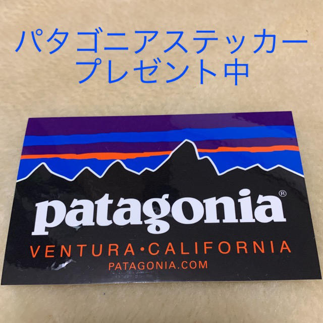 patagonia - 最新2020 パタゴニア Tシャツ 人気希少XSサイズ 新品未 ...