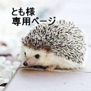 「とも様 専用ページ」(エクササイズ用品)