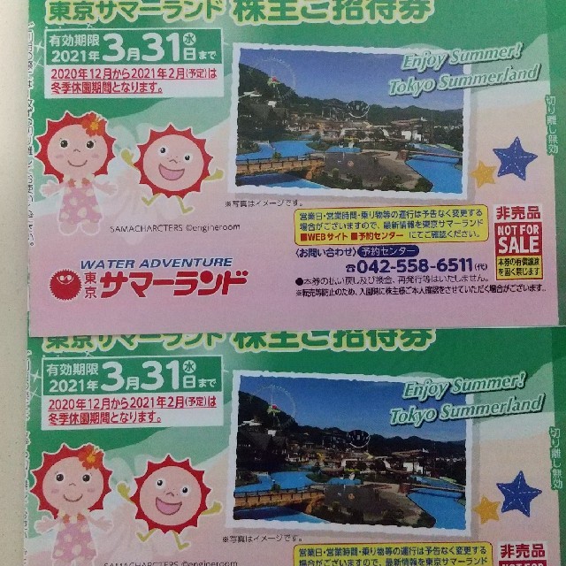 ミ専用 東京サマーランド株主ご招待券7月8月可 プール 2021年6月30日