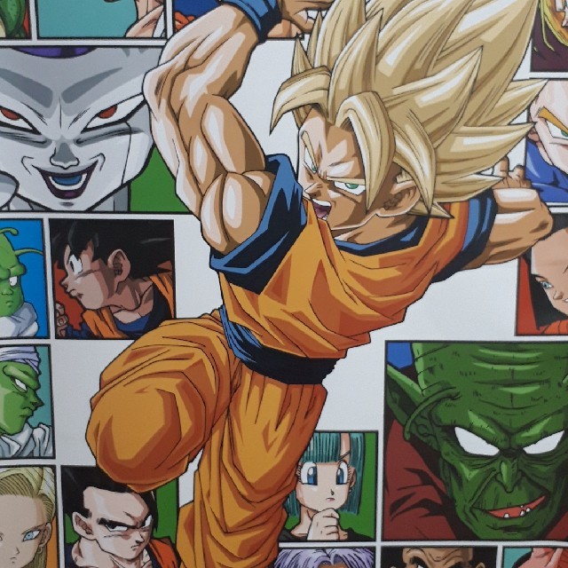 ドラゴンボール - マツモトヤスマサさん専用