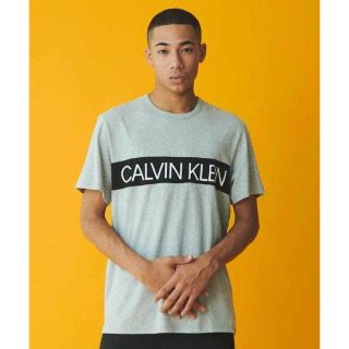 カルバンクライン(Calvin Klein)のカルバンクライン　Tシャツ(Tシャツ/カットソー(半袖/袖なし))