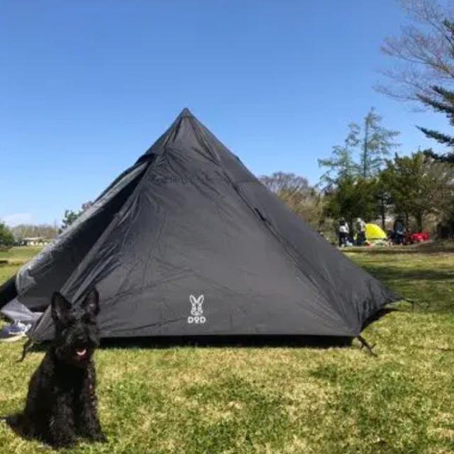 テント/タープDODワンポールテント一式となります。