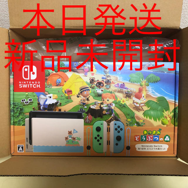 Nintendo Switch あつまれ どうぶつの森セット/Switch/HA