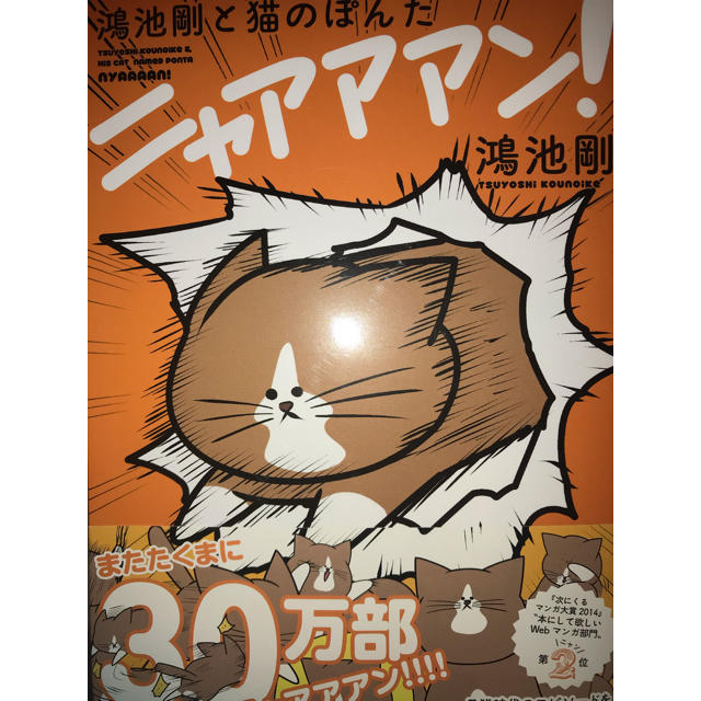 鴻池剛と猫のぽんたニャアアアン! エンタメ/ホビーの漫画(その他)の商品写真