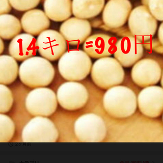 大豆　1.4キロ　ユキホマレ(豆腐/豆製品)