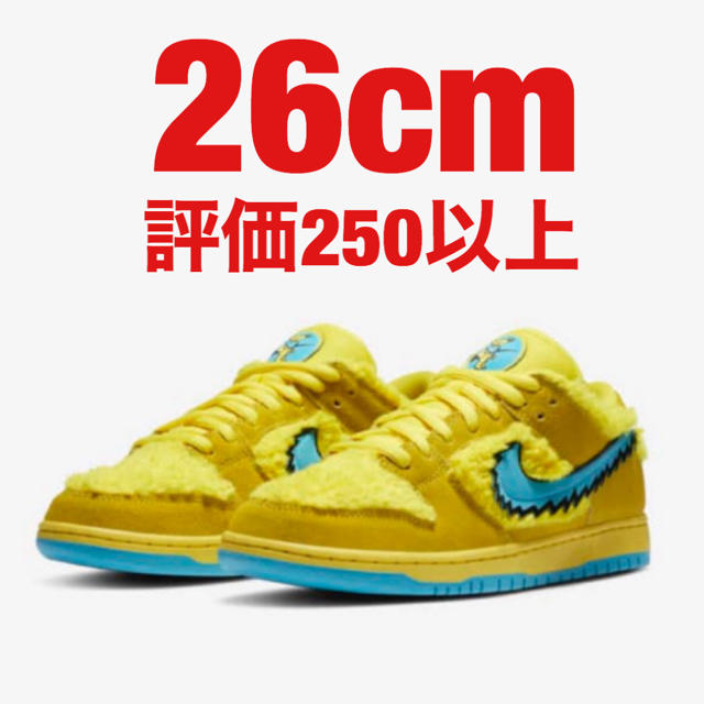 NIKE(ナイキ)のキンキン様専用 メンズの靴/シューズ(スニーカー)の商品写真