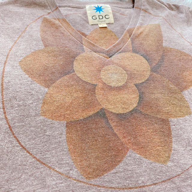 GRAND CANYON(グランドキャニオン)のグランドキャニオン　tシャツ メンズ　gdc メンズのトップス(Tシャツ/カットソー(半袖/袖なし))の商品写真