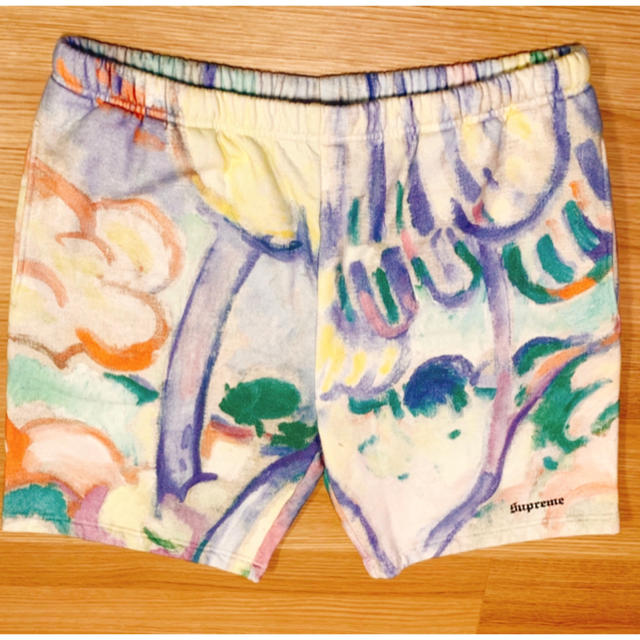 18ss supreme Landscape Sweatshort | angeloawards.com