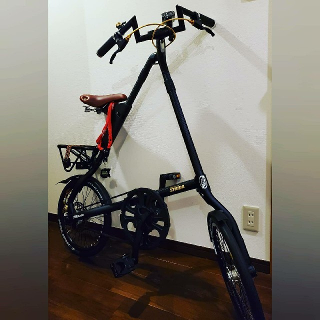 自転車オシャレ　カーボン調　折りたたみ自転車　STRIDA ストライダ　カスタム