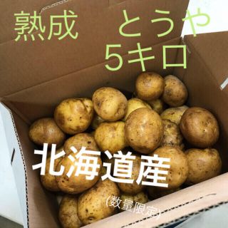 低温貯蔵で熟成させた〝とうや〟5キロ　　　　　　(8/2まで限定)(野菜)