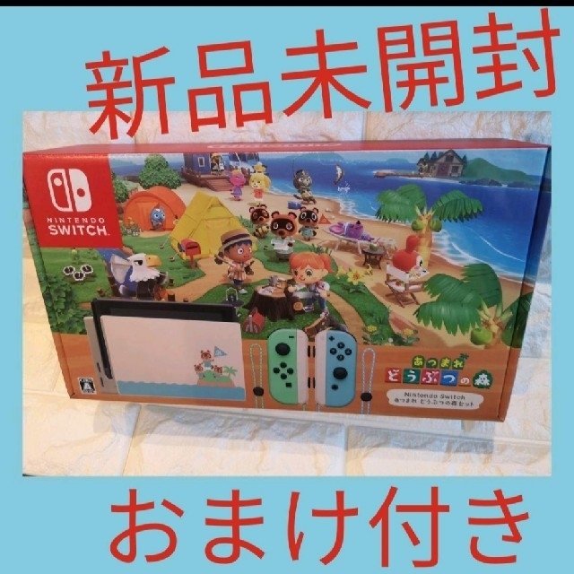 ちぇけさま専用　Nintendo　Switch　あつまれ　どうぶつの森セット