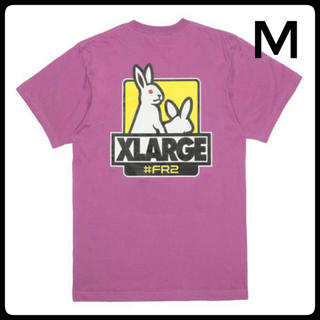 エクストララージ(XLARGE)のMサイズ　FR2 × XLARGE Fxxk Icon Tee2(Tシャツ/カットソー(半袖/袖なし))