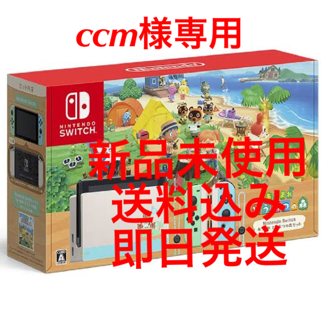 Nintendo Switch(ニンテンドースイッチ)のNintendo Switch あつまれ どうぶつの森セット エンタメ/ホビーのゲームソフト/ゲーム機本体(家庭用ゲーム機本体)の商品写真