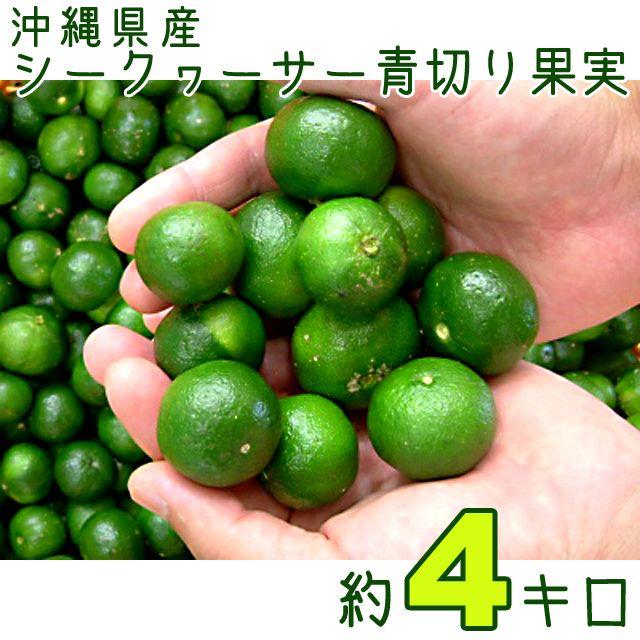 【送料込】沖縄産シークヮーサー（夏季収穫）約４キロ┃小粒な青切り収穫です