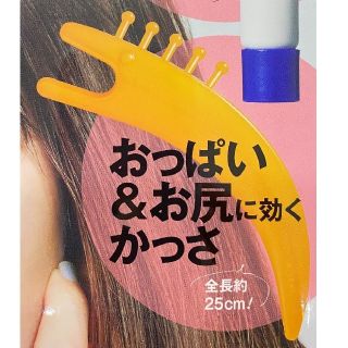 ショウガクカン(小学館)の美的7月号 付録  巨大かっさのみ。(美容)