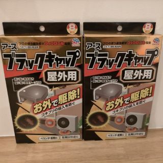 アースセイヤク(アース製薬)のブラックキャップ屋外用　2箱(日用品/生活雑貨)