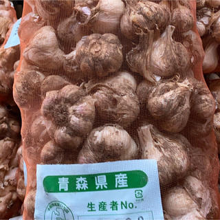 訳ありニンニク10kgサイズS(野菜)